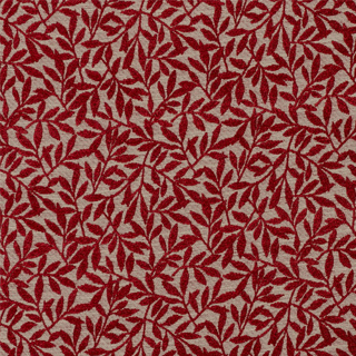 CL 140cm Entice Fabric Red