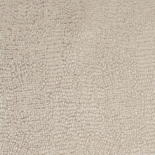 CL 137cm Profusion Fabric Gold