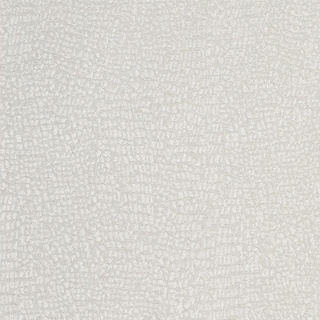 CL 137cm Profusion Fabric White