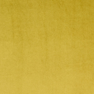 CL 140cm Regale Fabric Mustard